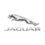 Jaguar logo 366x366px
