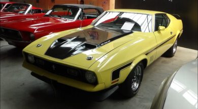 1972 Ford Mustang Fastback – NR Classic Cars Rudersberg 2020