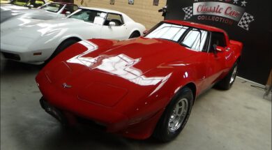 1979 Chevrolet Corvette C3 – NR Classic Cars Rudersberg 2020